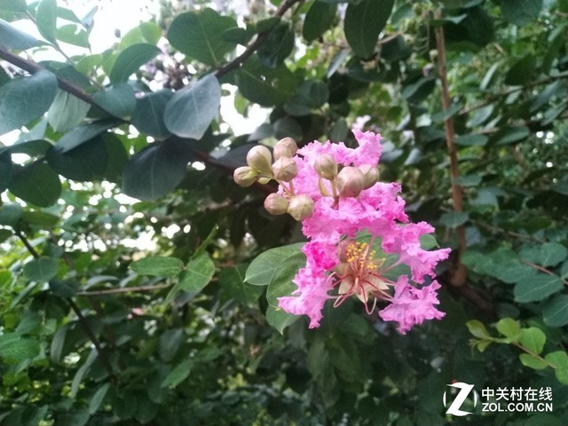 重新定义千元级巨屏标杆 荣耀8X Max评测（不发布） 